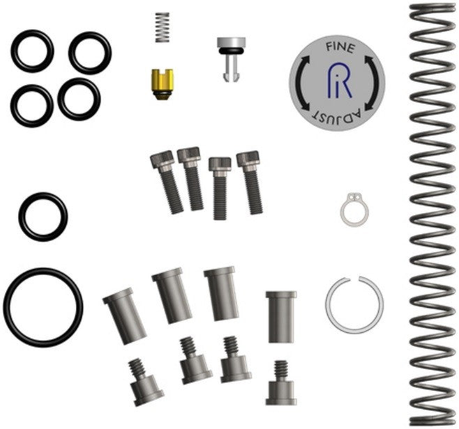 Ralston DPPV-REPK pressure pump repair kit including springs