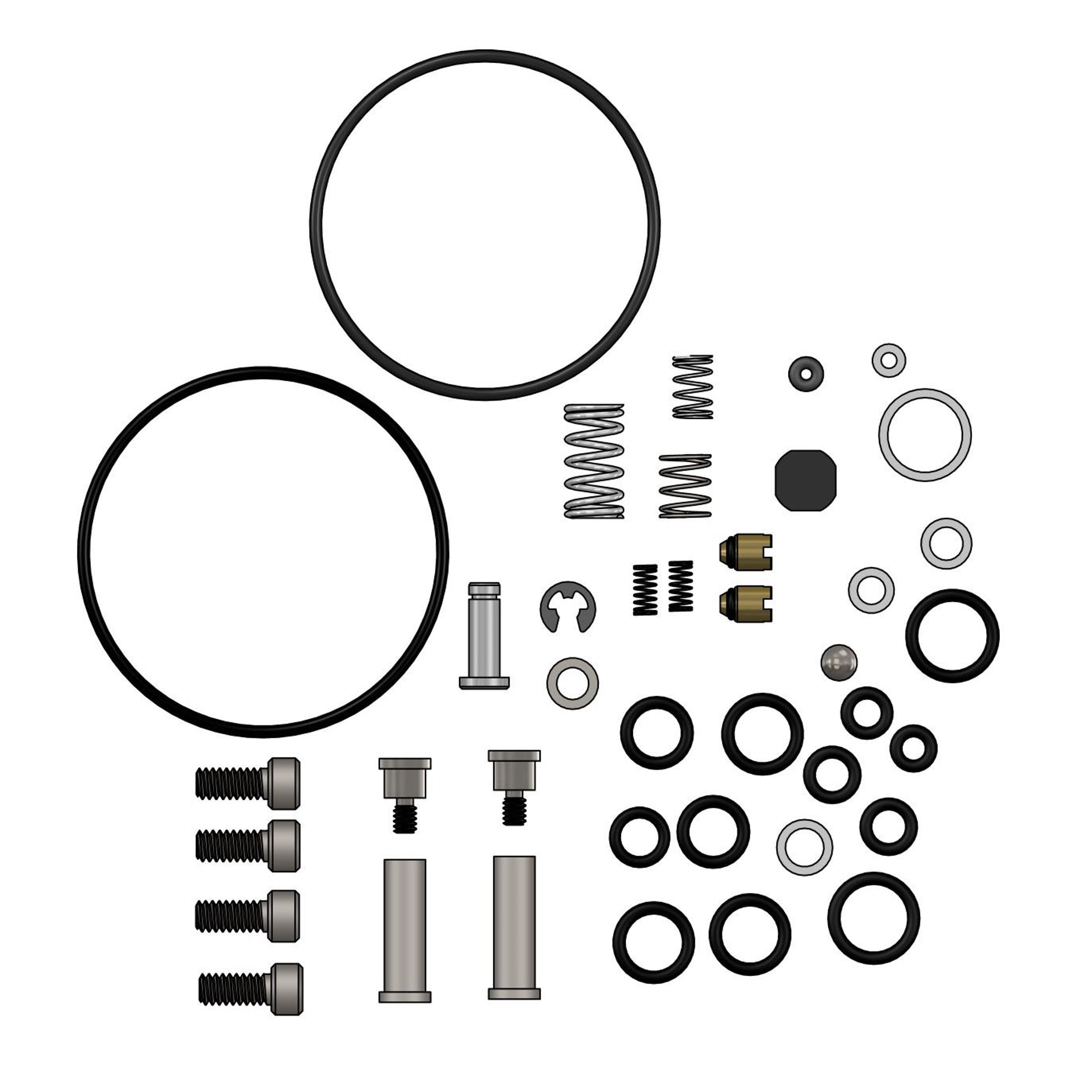 RALSTON QTHP-0270 Repair kit for XTHP Pump