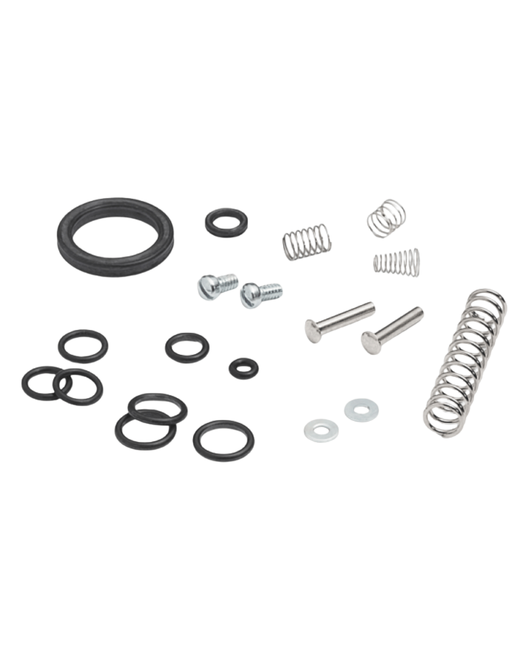 Collection of springs, bolts, and O-rings displayed as parts of hydraulic pump repair kit 